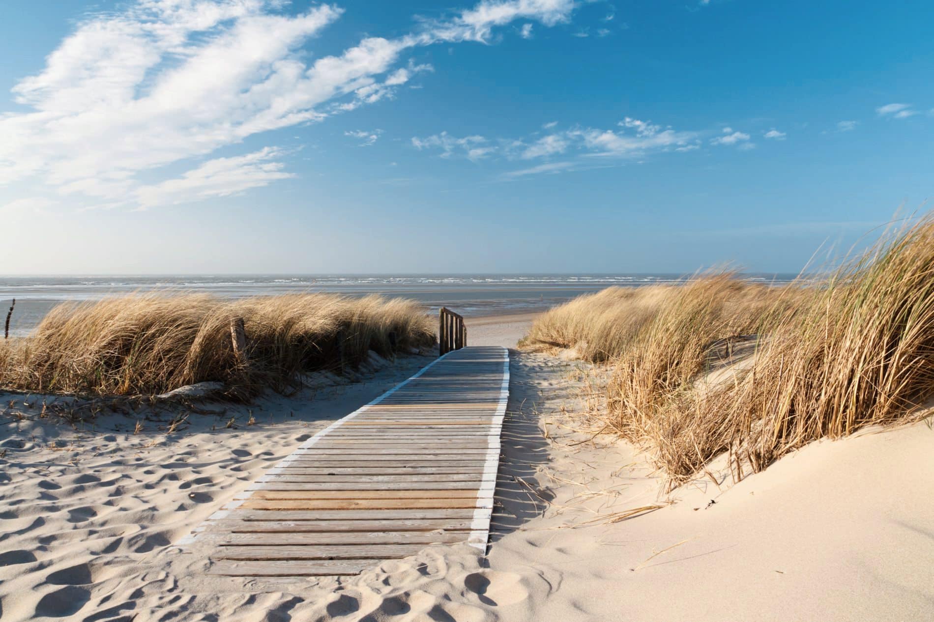 Marriott-Studie: Was sind die Reisetrends 2023?